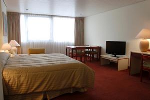 Habitaci�n Doble espaciosa